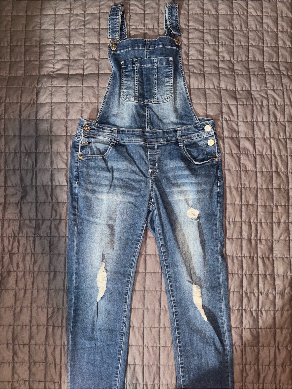Wallflower Blue Denim Distressed Overalls